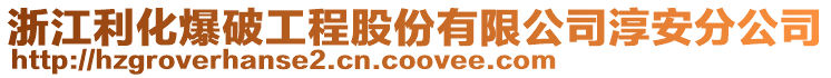 浙江利化爆破工程股份有限公司淳安分公司