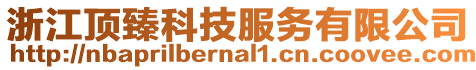 浙江頂臻科技服務有限公司