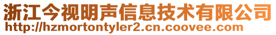 浙江今視明聲信息技術(shù)有限公司