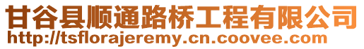 甘谷縣順通路橋工程有限公司