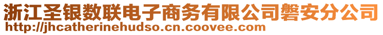 浙江圣銀數(shù)聯(lián)電子商務(wù)有限公司磐安分公司