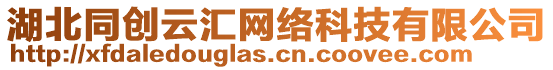 湖北同創(chuàng)云匯網(wǎng)絡(luò)科技有限公司