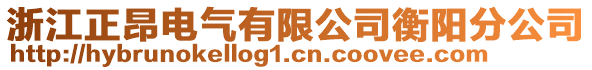 浙江正昂電氣有限公司衡陽分公司