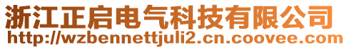 浙江正啟電氣科技有限公司