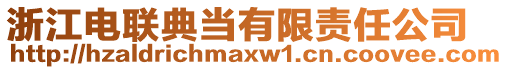 浙江電聯(lián)典當(dāng)有限責(zé)任公司