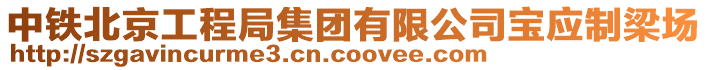 中鐵北京工程局集團有限公司寶應制梁場