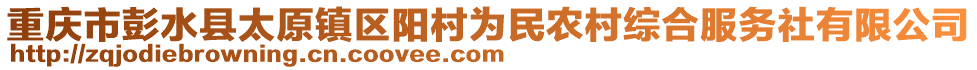 重慶市彭水縣太原鎮(zhèn)區(qū)陽(yáng)村為民農(nóng)村綜合服務(wù)社有限公司