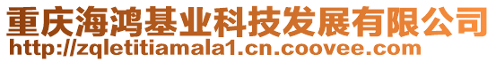 重慶海鴻基業(yè)科技發(fā)展有限公司