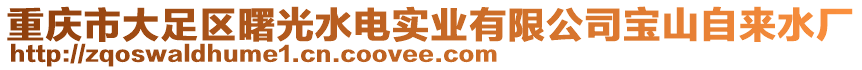 重慶市大足區(qū)曙光水電實業(yè)有限公司寶山自來水廠