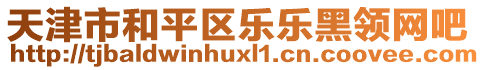 天津市和平區(qū)樂樂黑領(lǐng)網(wǎng)吧