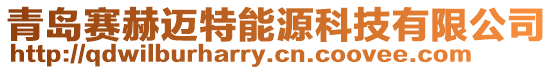 青島賽赫邁特能源科技有限公司