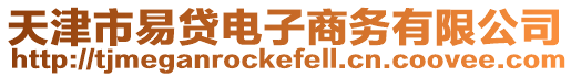 天津市易貸電子商務(wù)有限公司