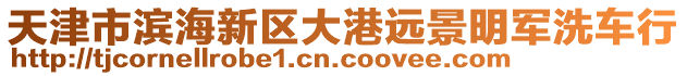 天津市滨海新区大港远景明军洗车行