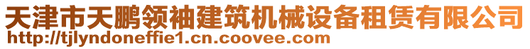 天津市天鵬領袖建筑機械設備租賃有限公司