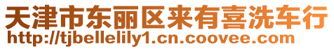 天津市東麗區(qū)來有喜洗車行