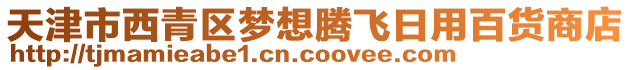 天津市西青區(qū)夢想騰飛日用百貨商店