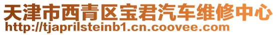 天津市西青區(qū)寶君汽車維修中心