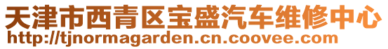 天津市西青區(qū)寶盛汽車維修中心