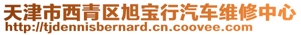 天津市西青區(qū)旭寶行汽車維修中心