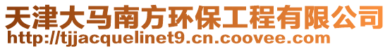 天津大馬南方環(huán)保工程有限公司