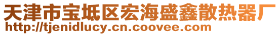 天津市寶坻區(qū)宏海盛鑫散熱器廠