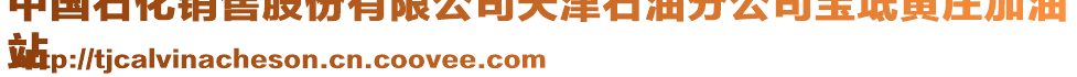 中國石化銷售股份有限公司天津石油分公司寶坻黃莊加油
站