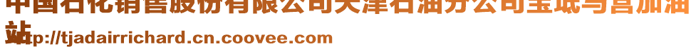 中國石化銷售股份有限公司天津石油分公司寶坻馬營加油
站