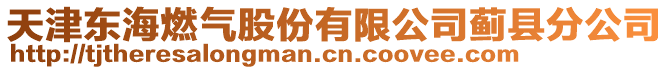 天津東海燃?xì)夤煞萦邢薰舅E縣分公司