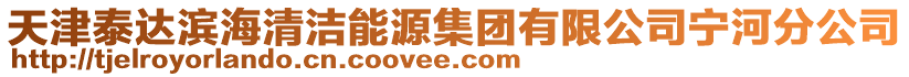 天津泰達濱海清潔能源集團有限公司寧河分公司