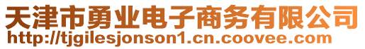 天津市勇業(yè)電子商務(wù)有限公司