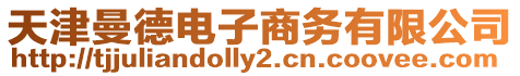 天津曼德電子商務有限公司