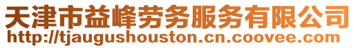 天津市益峰勞務服務有限公司