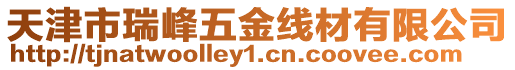 天津市瑞峰五金線材有限公司