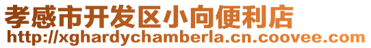 孝感市開發區小向便利店
