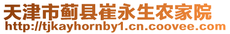 天津市薊縣崔永生農家院