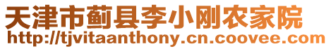 天津市薊縣李小剛農(nóng)家院