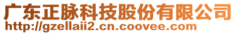 廣東正脈科技股份有限公司