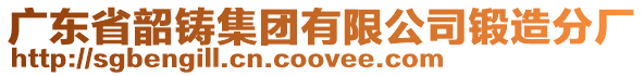 廣東省韶鑄集團(tuán)有限公司鍛造分廠