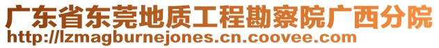 廣東省東莞地質(zhì)工程勘察院廣西分院