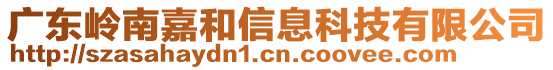 廣東嶺南嘉和信息科技有限公司