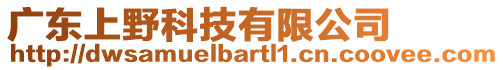 廣東上野科技有限公司