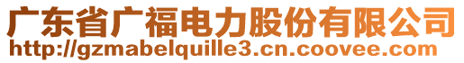 廣東省廣福電力股份有限公司