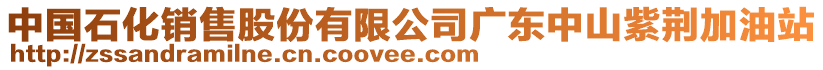 中國(guó)石化銷售股份有限公司廣東中山紫荊加油站