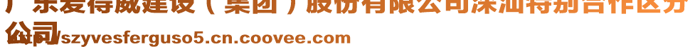 廣東愛得威建設(shè)（集團(tuán)）股份有限公司深汕特別合作區(qū)分
公司