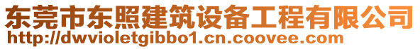 東莞市東照建筑設備工程有限公司