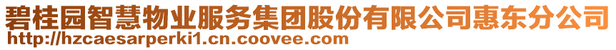 碧桂园智慧物业服务集团股份有限公司惠东分公司