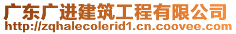 廣東廣進(jìn)建筑工程有限公司