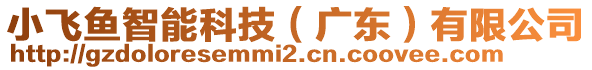 小飛魚智能科技（廣東）有限公司