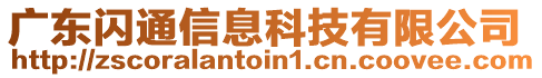 廣東閃通信息科技有限公司