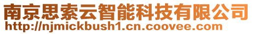 南京思索云智能科技有限公司